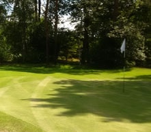 Gewas-planten-sportvelden Sportveldonderhoud