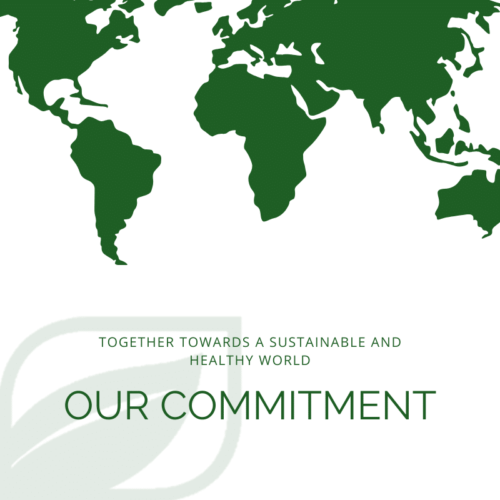 Our commitment