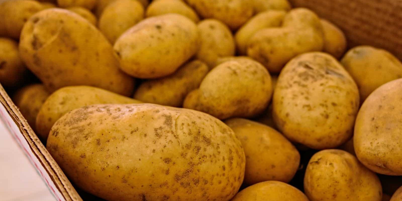 Aardappelen