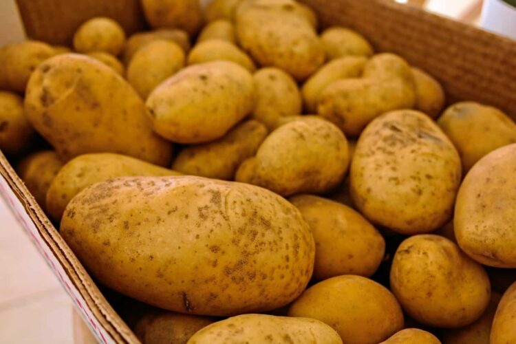 Aardappelen